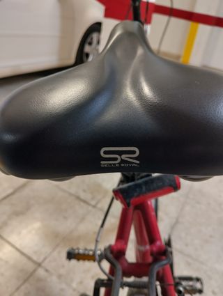 Bicicleta de ciudad/trekking con portaequipajes