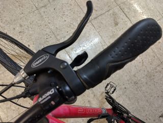 Bicicleta de ciudad/trekking con portaequipajes