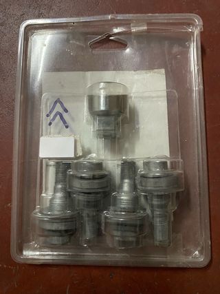 TORNILLOS ANTIRROBO COCHE.