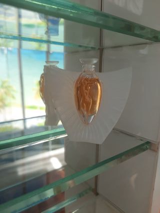 Lote de Miniaturas de Perfume