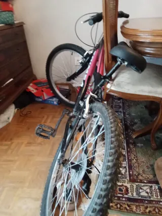 Bicicleta Toimsa