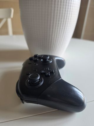 Mando Pro Nintendo Switch Negro