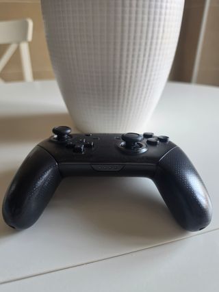 Mando Pro Nintendo Switch Negro