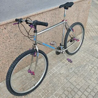 Bicicleta de montaña cromada
