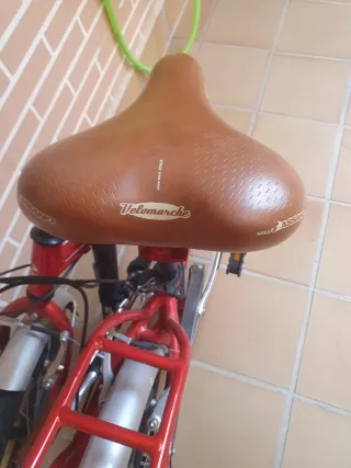 Bicicleta Plegable Boomerang