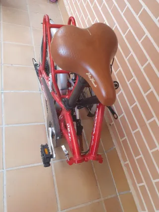 Bicicleta Plegable Boomerang