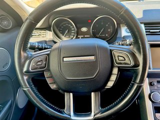 RAGER ROVER /EVOQUE 2.2 DIESEL.Motor FORD/PSA)