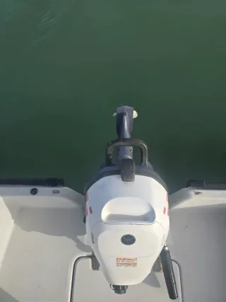 Motor fueraborda Yamaha 6CV