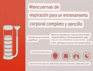 Mancuerna Entrenamiento Abdominal