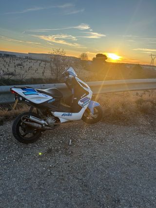 Yamaha Aerox Polini Scooter