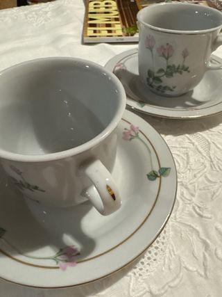 Conjunto 2 Tazas con Plato Porcelana Flores Rosas
