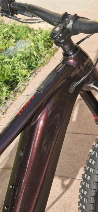 GIANT REIGN E+ 2 (800WH) T:M