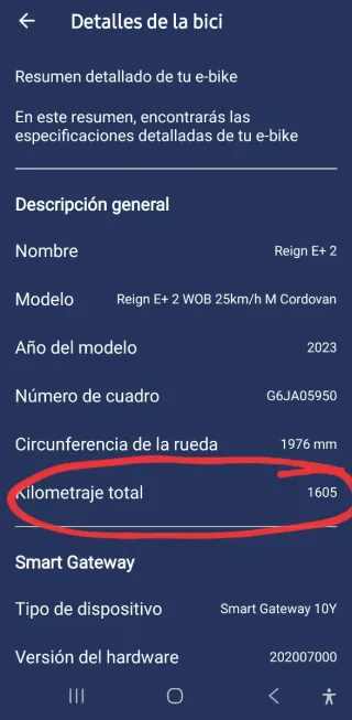 GIANT REIGN E+ 2 (800WH) T:M