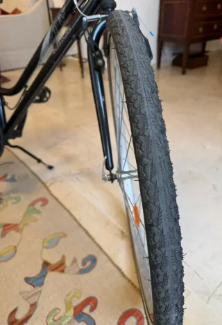 Bicicleta BH Boston