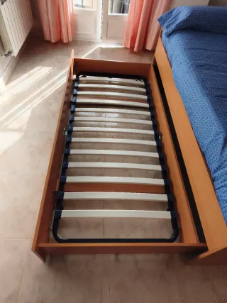 Cama nido juvenil