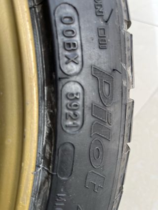 Neumaticos Michelin Alpin para Porsche