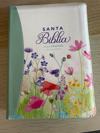 Biblia RVR 1960 letra grande