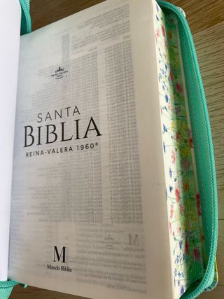 Biblia RVR 1960 letra grande