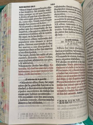 Biblia RVR 1960 letra grande