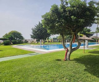 Estudio en alquiler en Playamar en Torremolinos