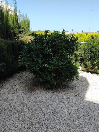 Piso en venta en Cabo Roig - La Zenia en Orihuela