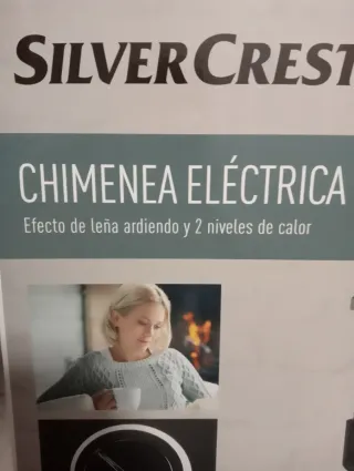 Chimenea eléctrica negra