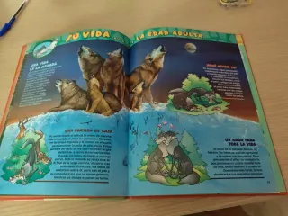 Libro infantil