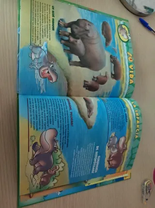Libro infantil
