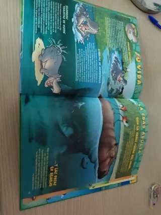 Libro infantil