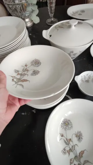 Vajilla 56 piezas porcelana.