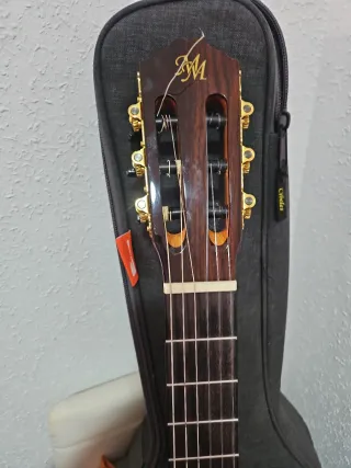 Guitarra Flamenca con funda Amplificada
