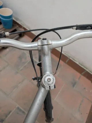 Bicicleta Specialized Gris