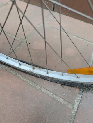 Bicicleta Specialized Gris