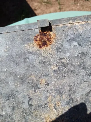 Mangiatoia metallica per recinti