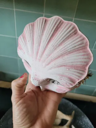 Vaso decorativo conchiglia rosa e bianca