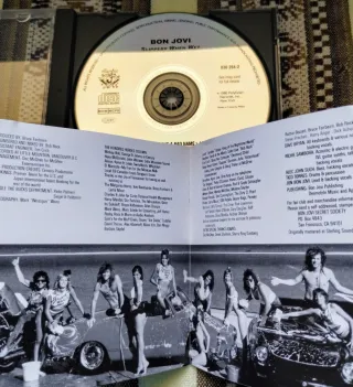 2 Cds Cd Bon Jovi Slippery When Wet / Bon Jovi