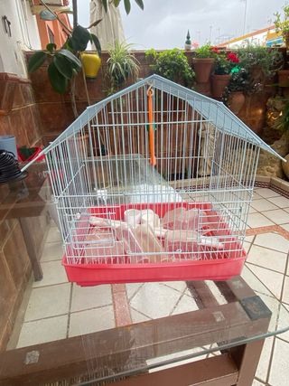 Jaula para pájaros