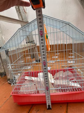 Jaula para pájaros