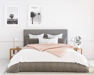 Ocho colchones + somier Molaflex Hotel collection