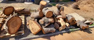 Regalo: Troncos de pino