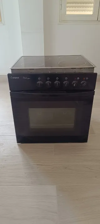 Vitrocerámica con horno Aspes