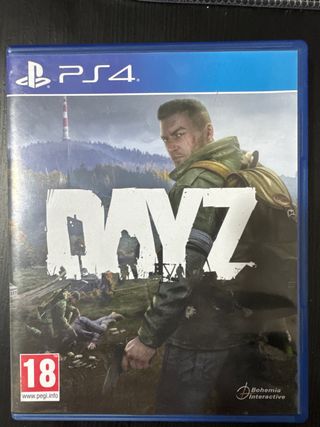 DayZ PS4 PS5