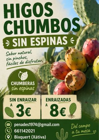 Higos Chumbos Sin Espinas