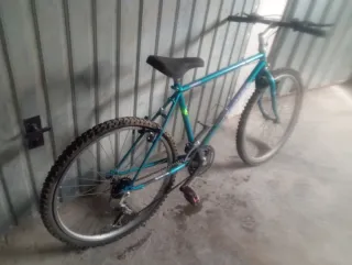 Bicicleta de Montaña