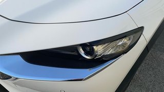 Mazda CX-30 (2022) e-SKYACTIV-G 2.0 150CV AT 2WD HOMURA