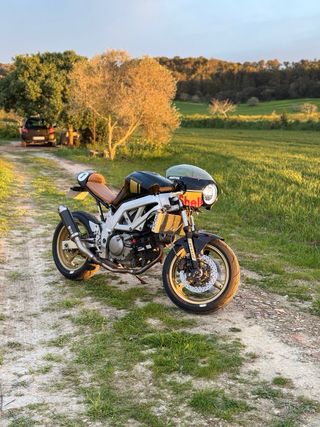 Suzuki SV 650 cafe racer