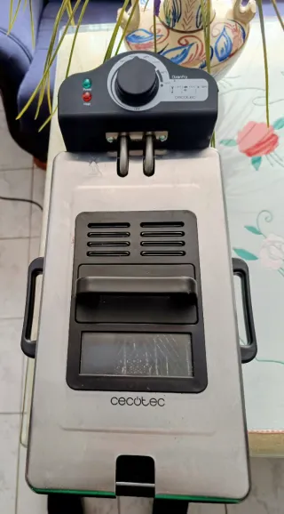 Freidora Cecotec Inox 3L