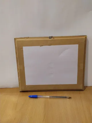 Mariposa Atlas Gigante Enmarcada