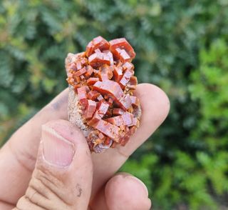 Vanadinite Minerali da Collezione
