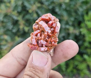 Vanadinite Minerali da Collezione